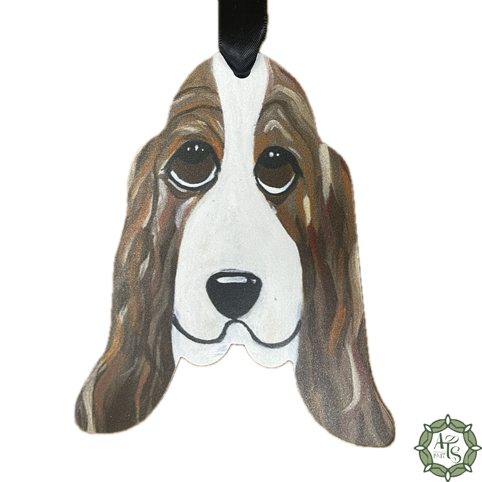 Basset Hound