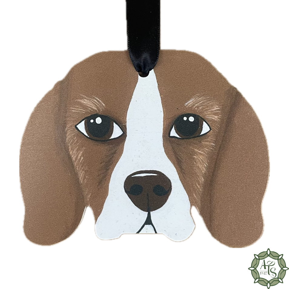 Beagle
