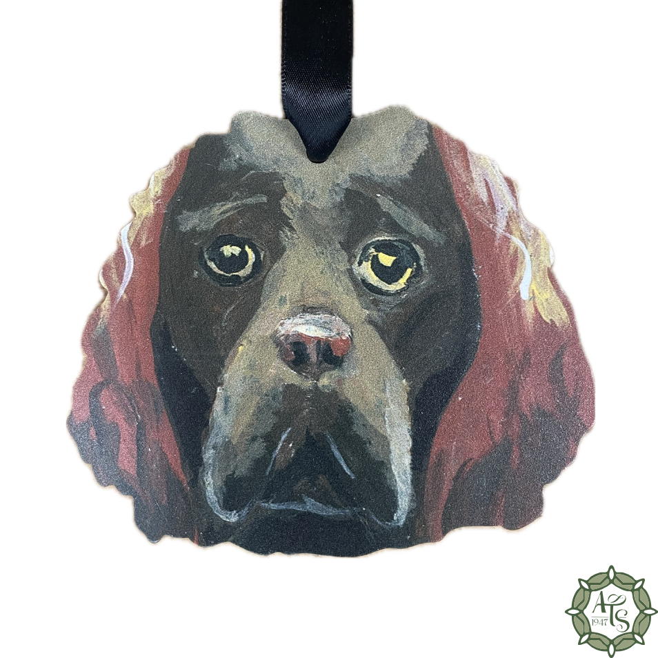 Boykin Spaniel