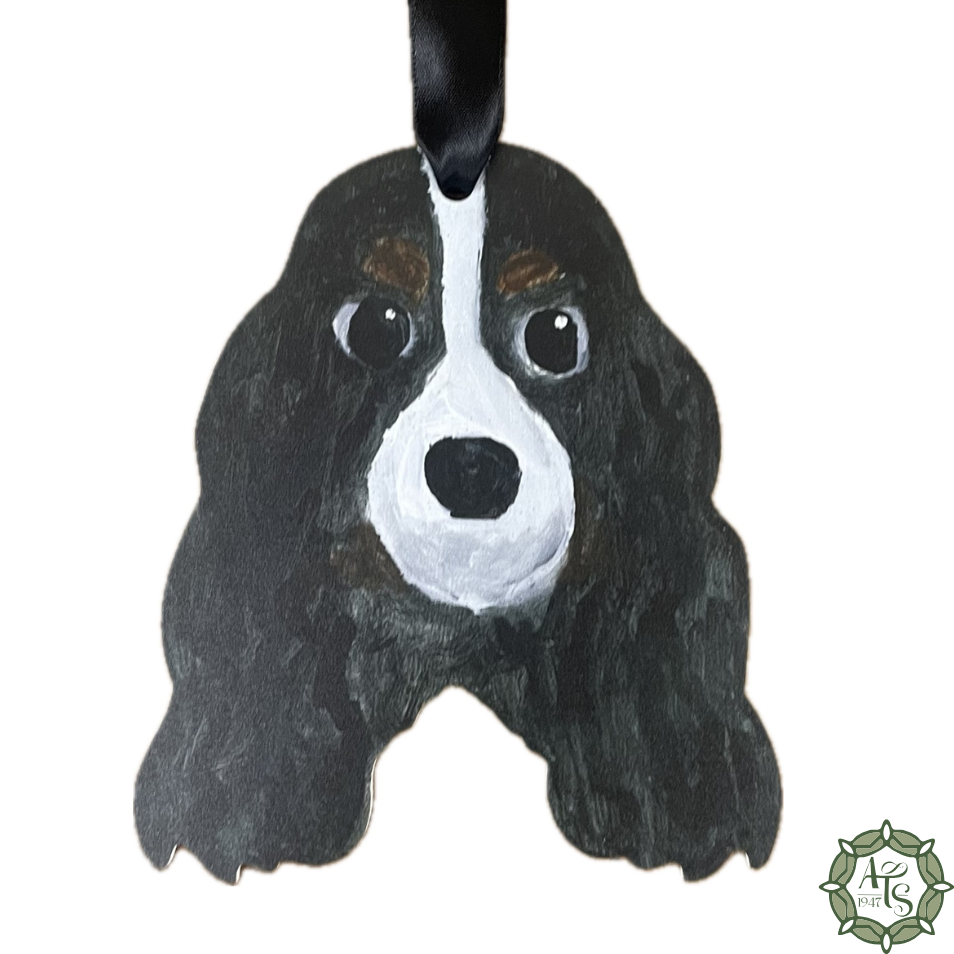 Cavalier King Charles Spaniel (Tricolor)
