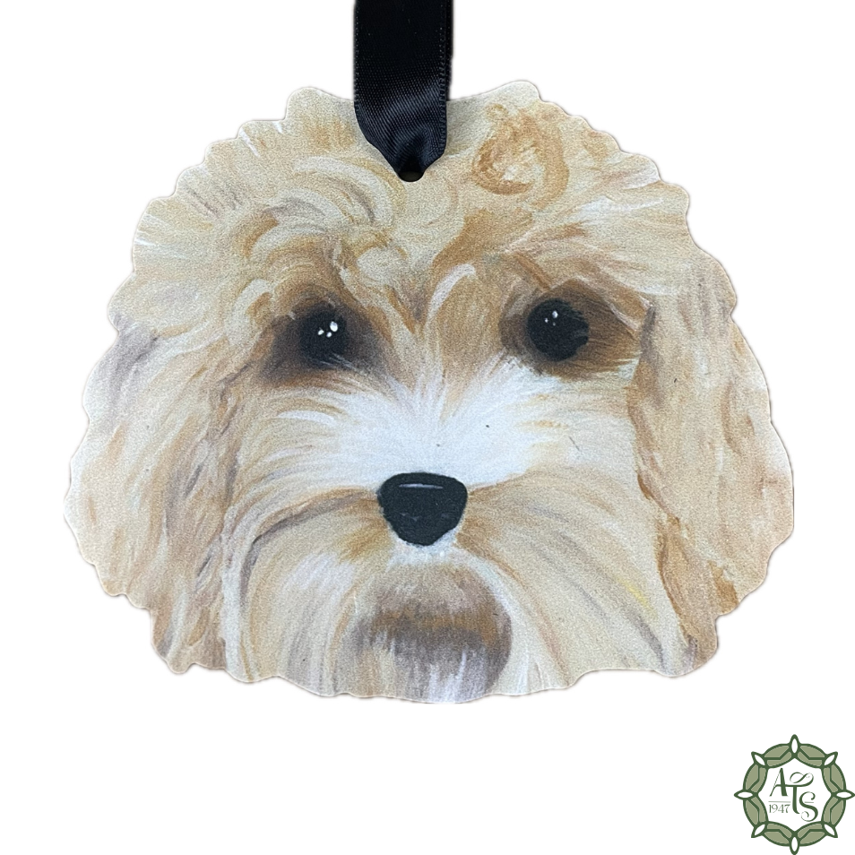Golden Doodle