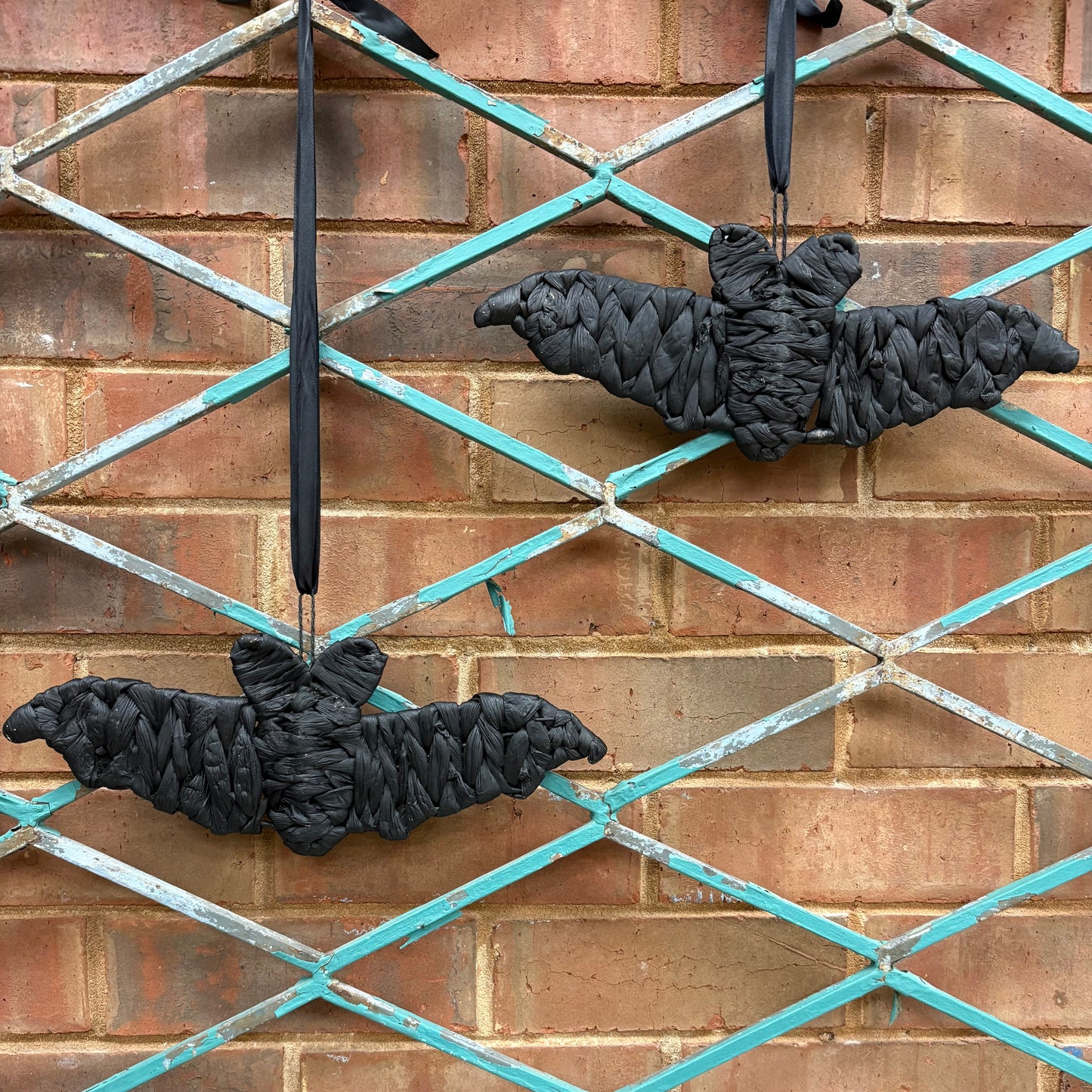 Woven Bat