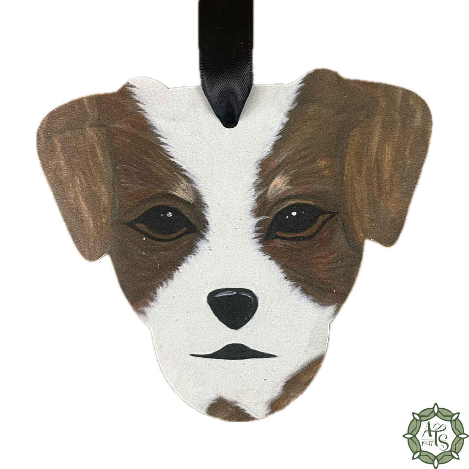 Jack Russell Terrier
