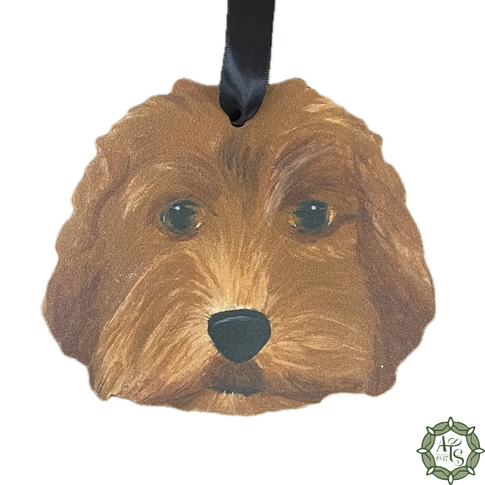 Cavapoo